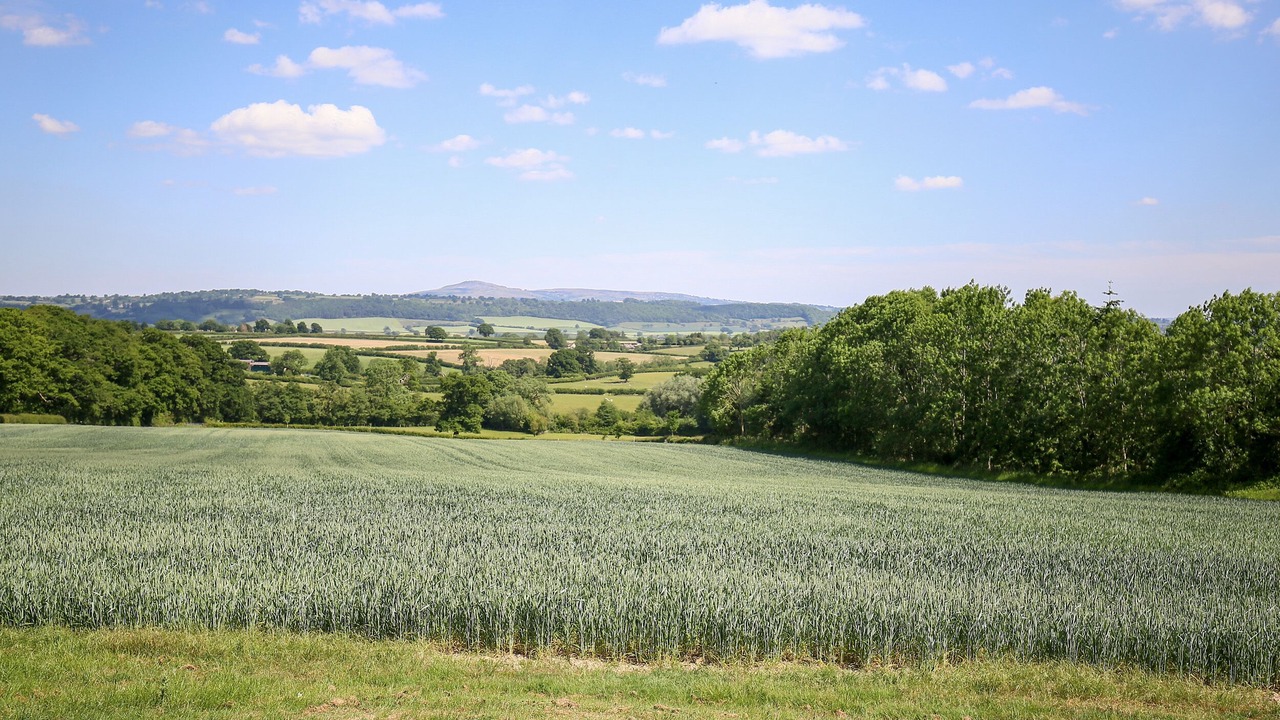 Photo of Others in Onibury