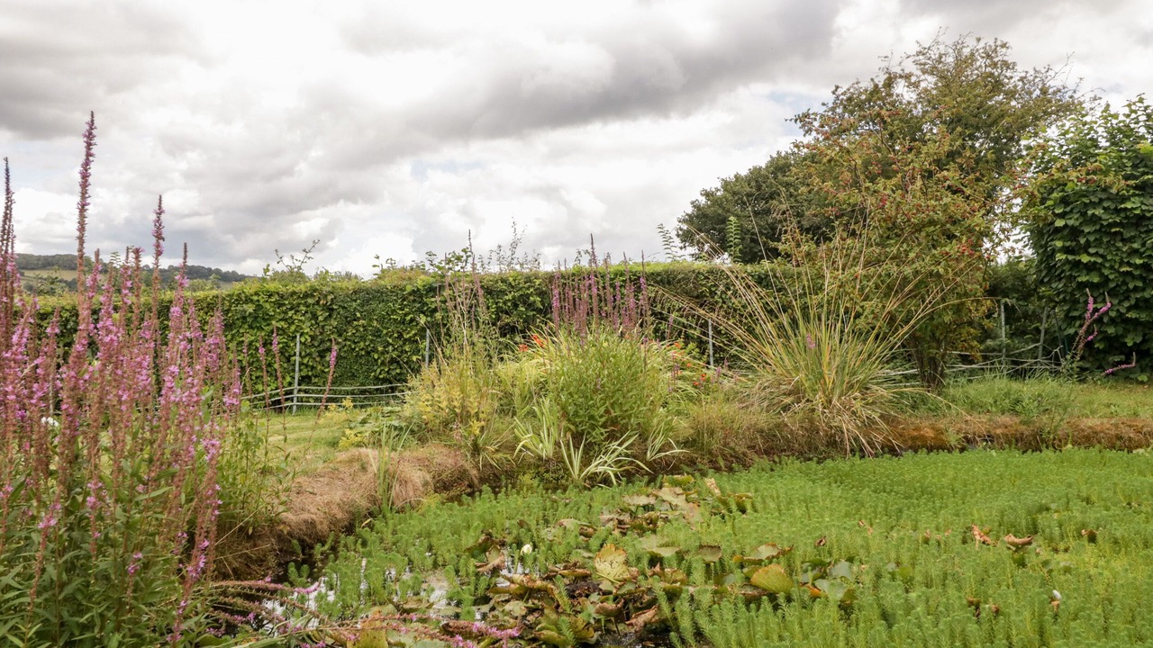 Photo of Others in West Chinnock