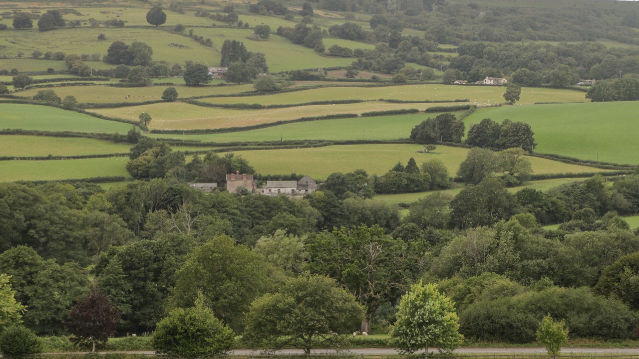 Photo of Others in Llantilio Pertholey