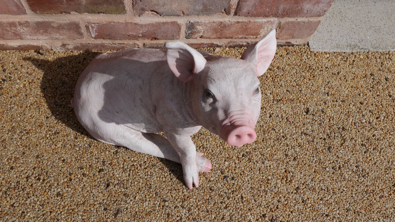 Photo of Others in Hereford