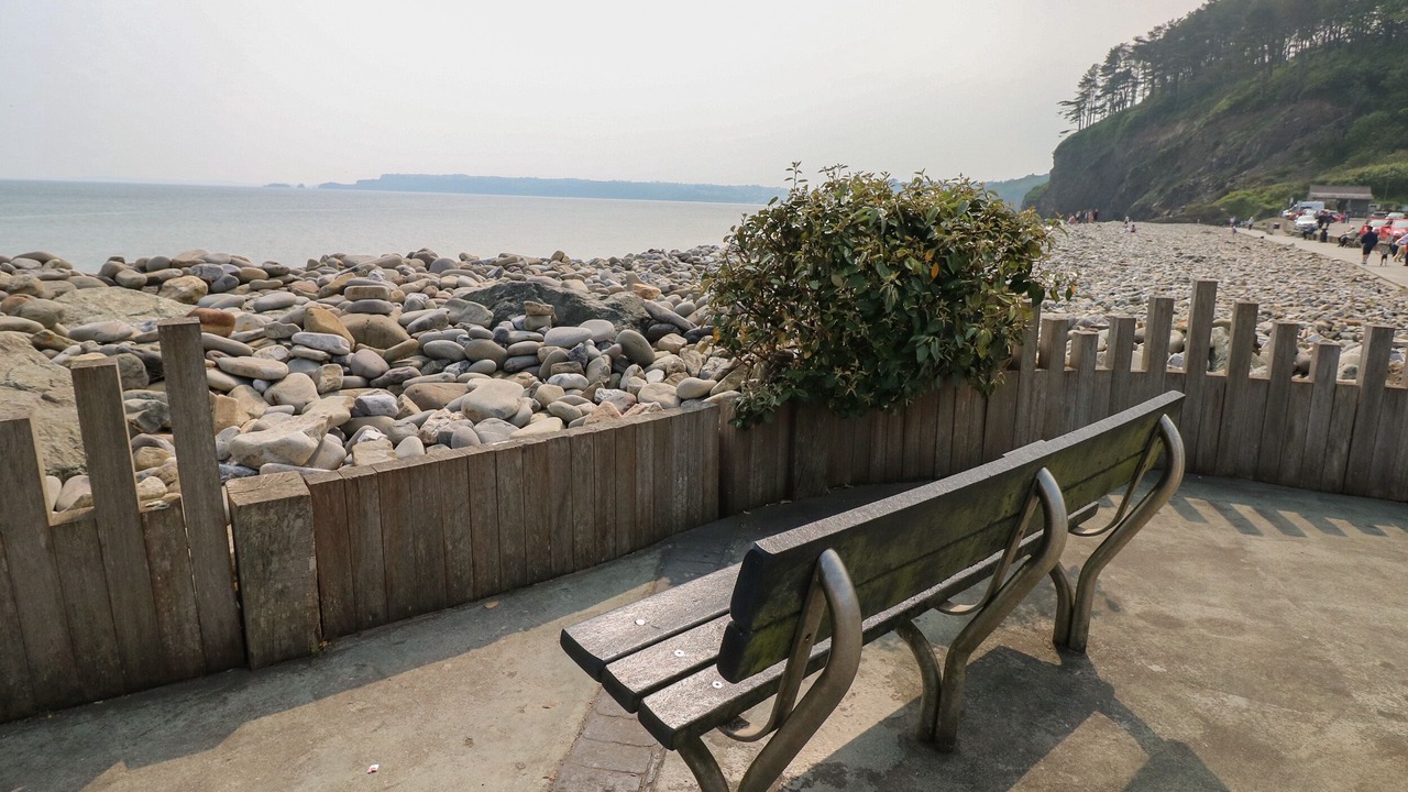 Photo of Others in Amroth