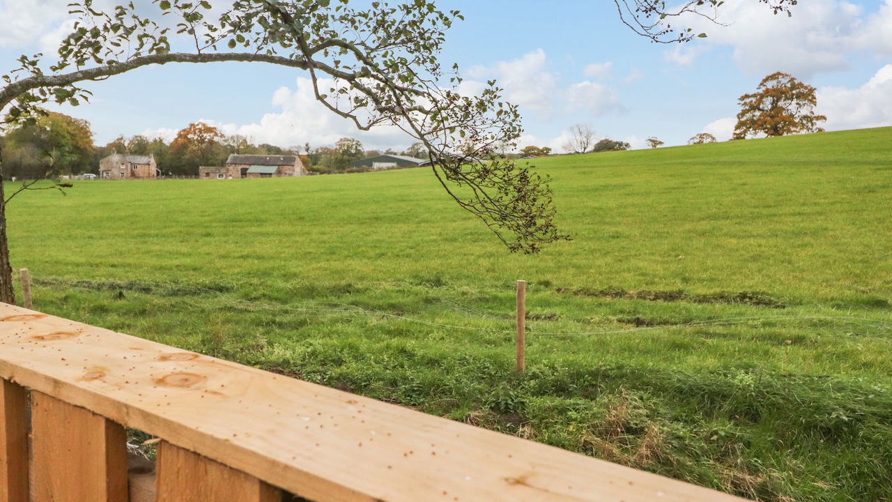 Photo of Others in Wray