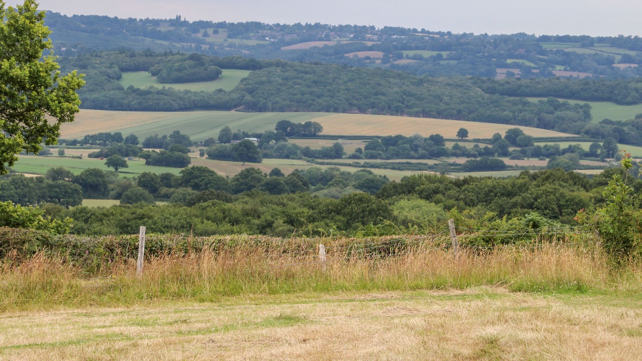 Photo of Others in Heathfield