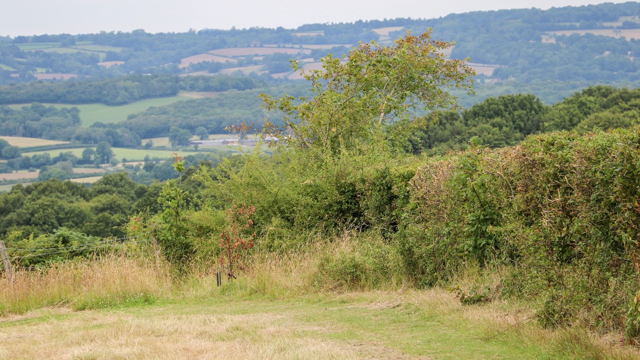 Photo of Others in Heathfield