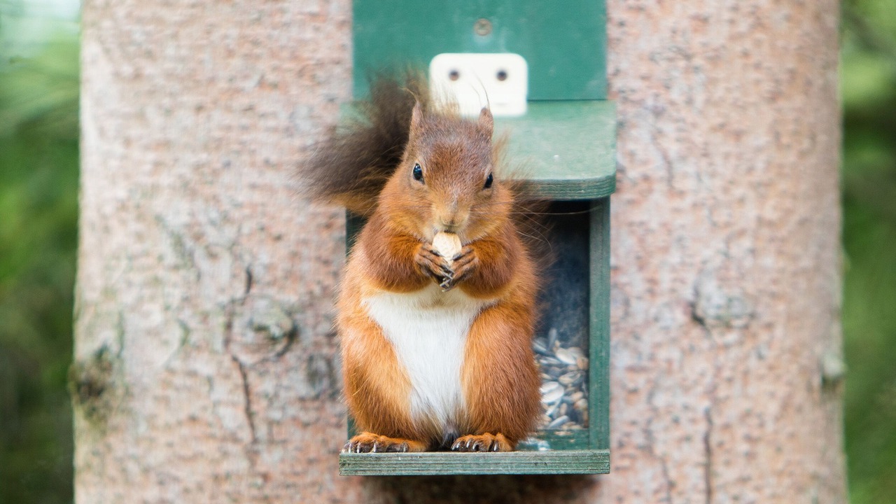Photo of Others in Otterburn