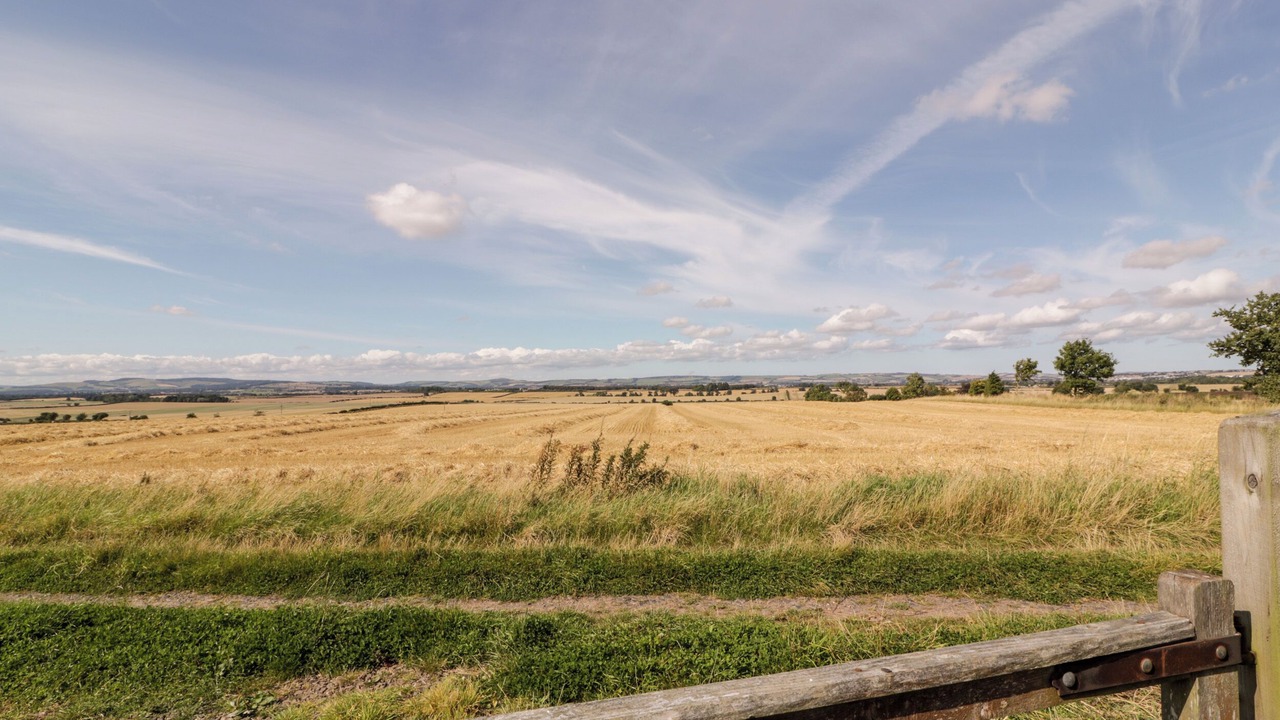 Photo of Others in Whitsome