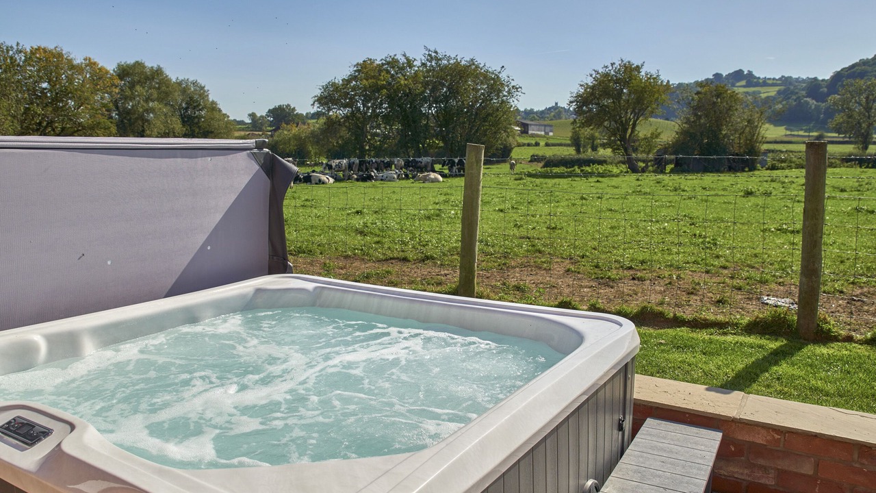 Photo of Others in Montgomery