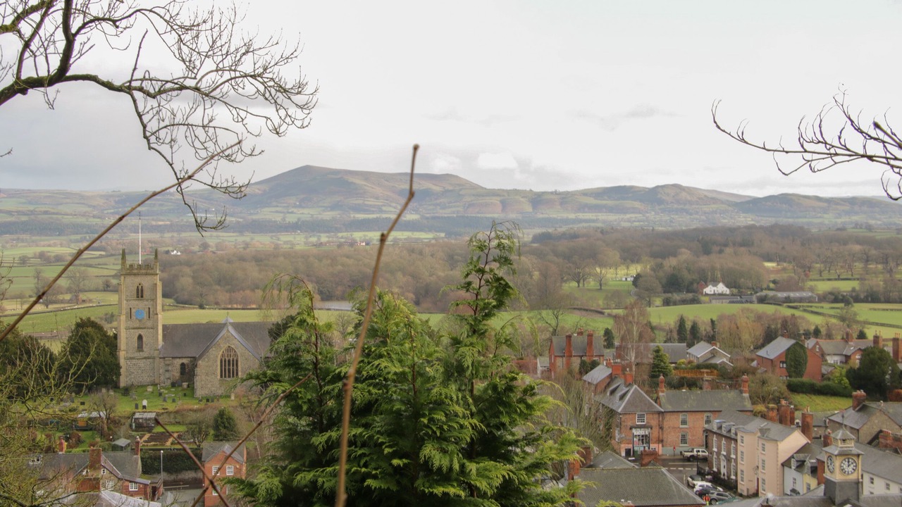 Photo of Others in Montgomery