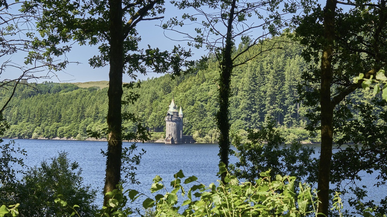 Photo of Others in Montgomery