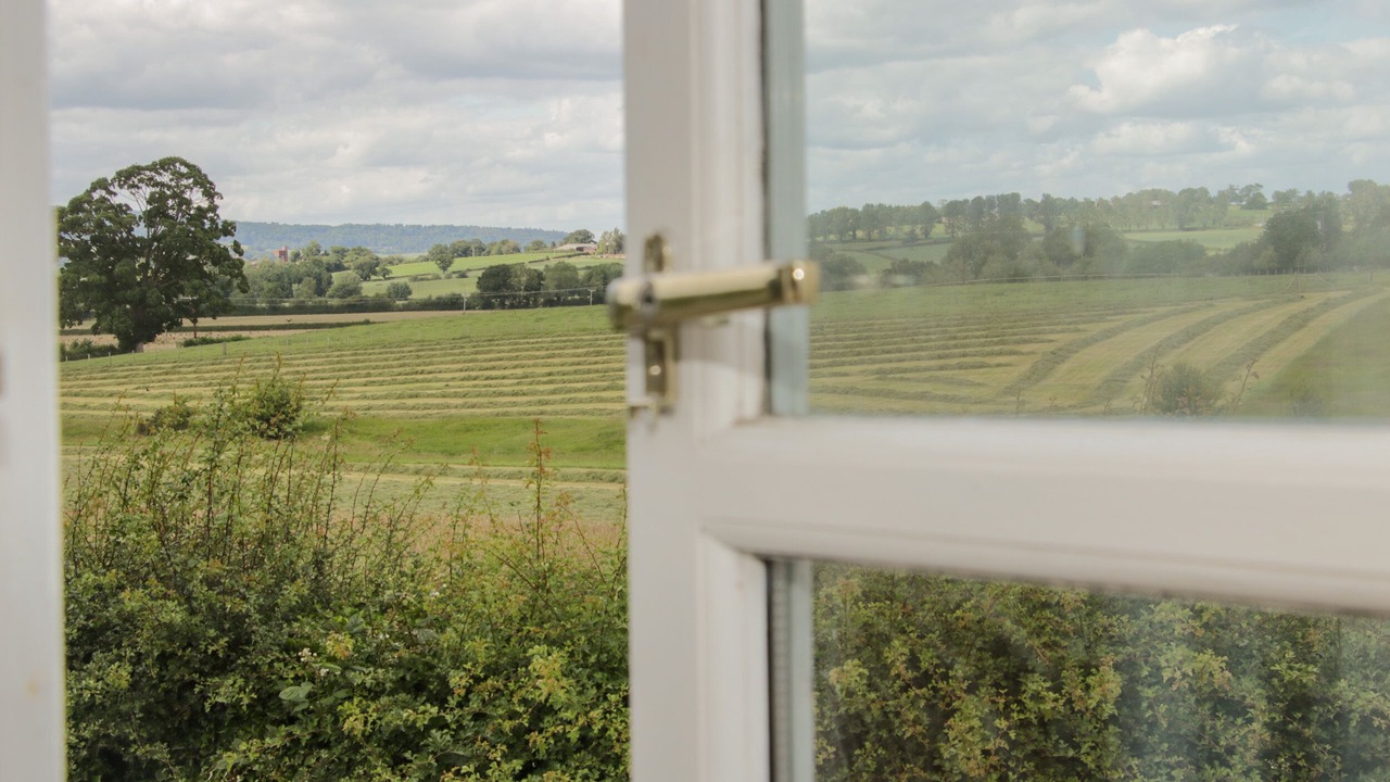 Photo of Others in Montgomery