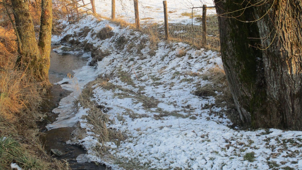 Photo of Outdoor in Esley