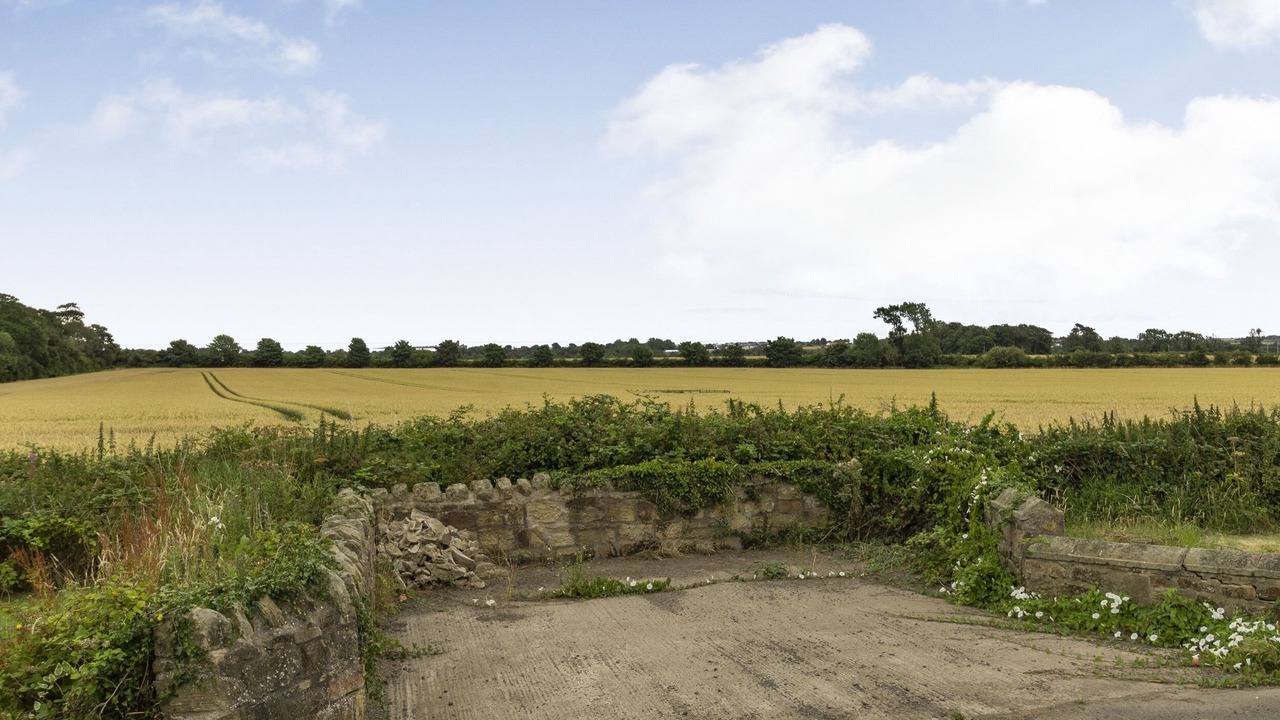 Photo of Others in South Charlton