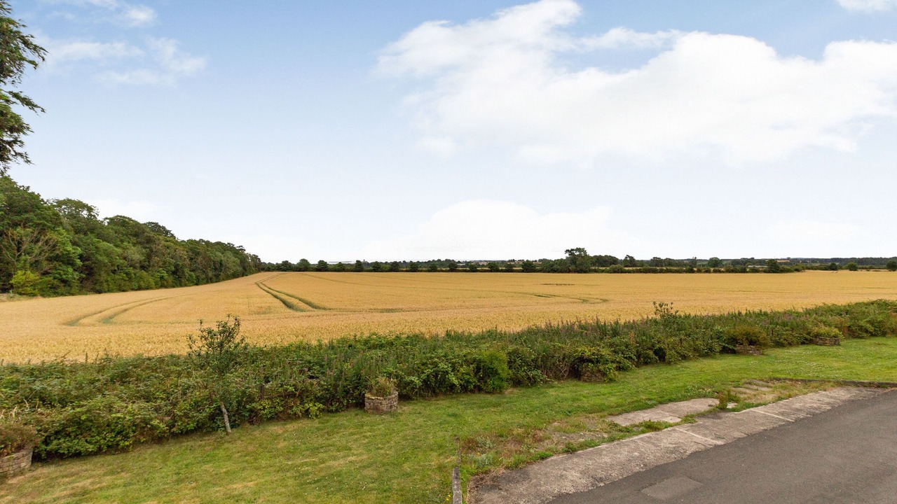 Photo of Others in South Charlton