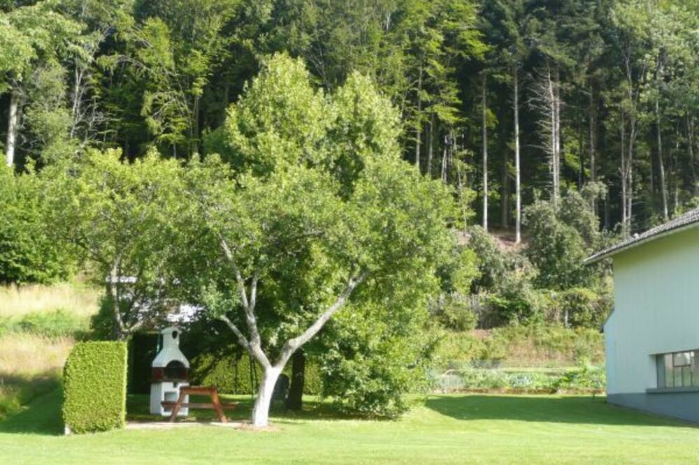Photo of Outdoor in Jussarupt
