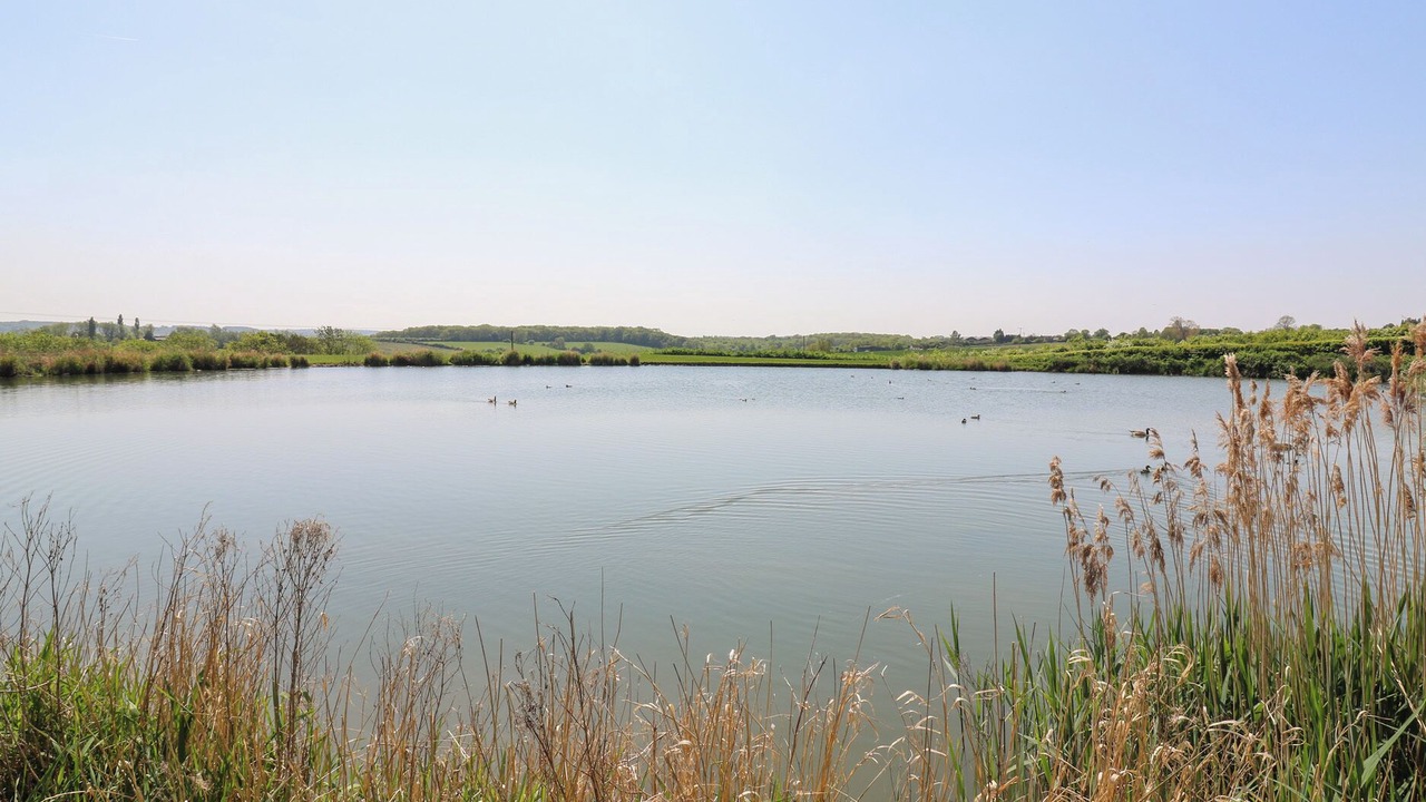 Photo of Others in Bedford