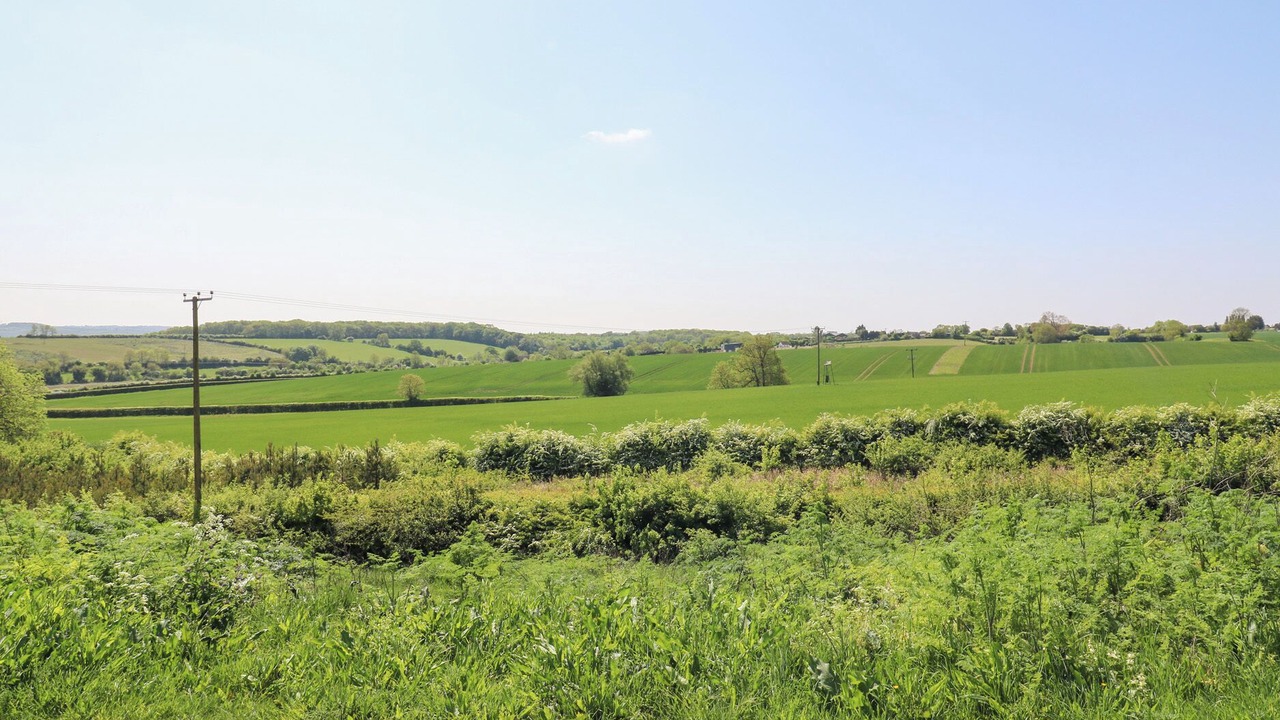 Photo of Others in Bedford