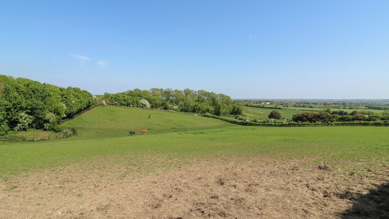 Photo of Others in Bedford