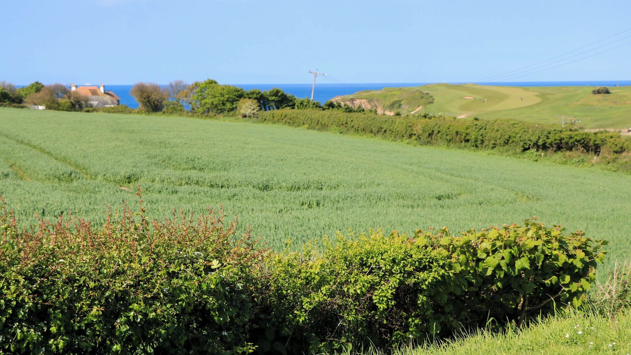 Photo of Others in Thurlestone