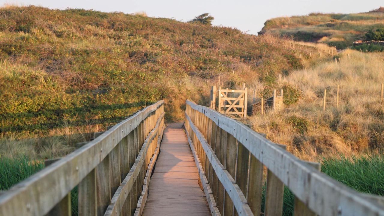 Photo of Others in Thurlestone