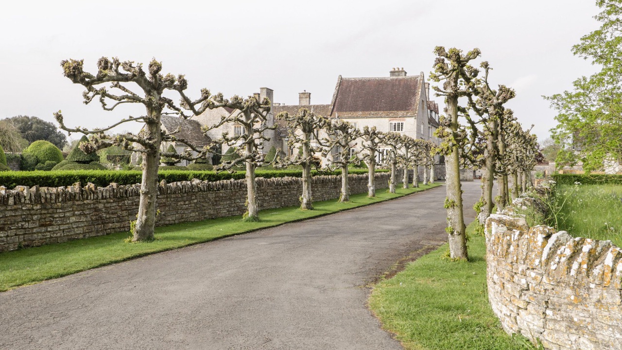 Photo of Others in Ilton