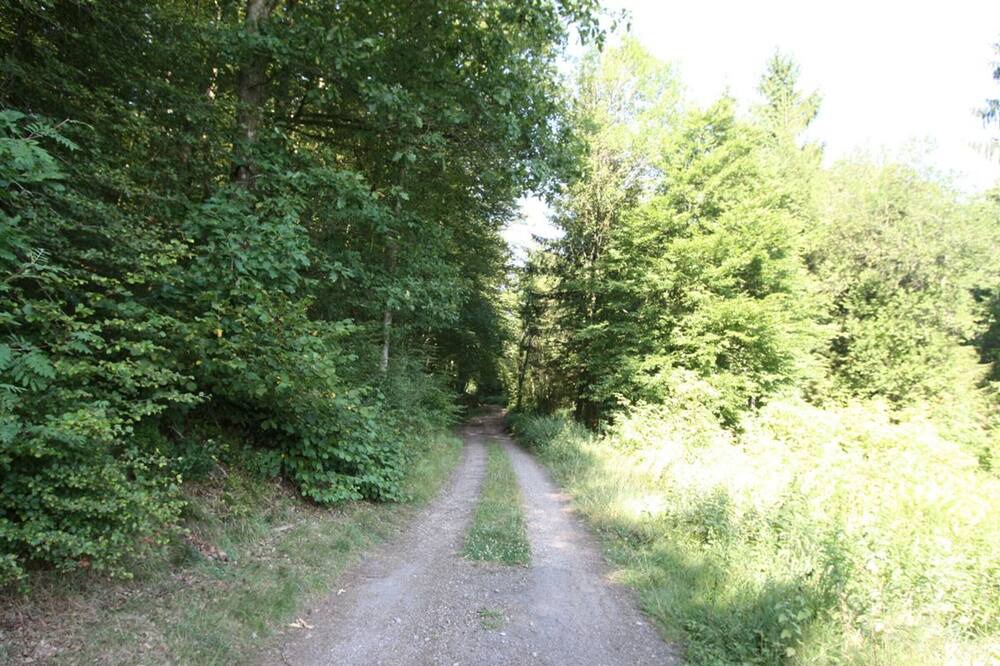 Photo of Outdoor in Epinal