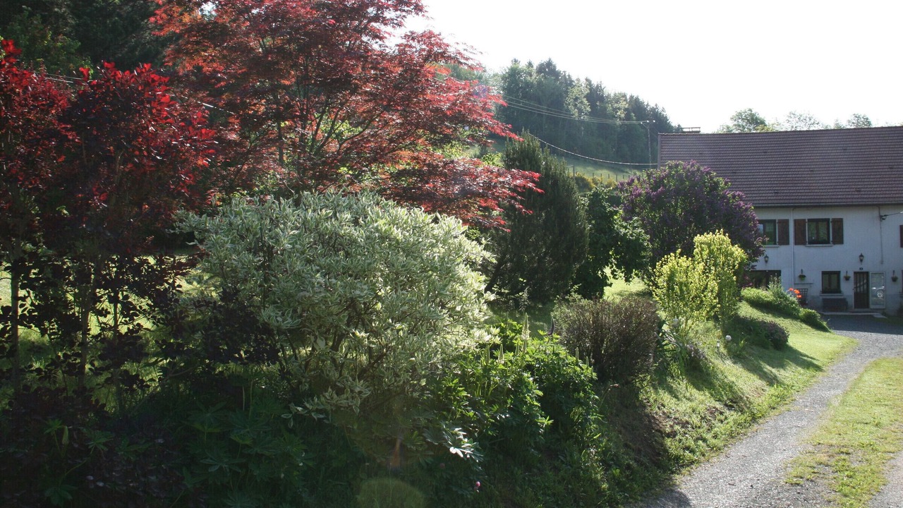Photo of Outdoor in Fraize