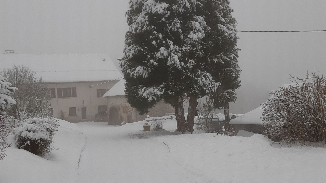 Photo of Outdoor in Fraize