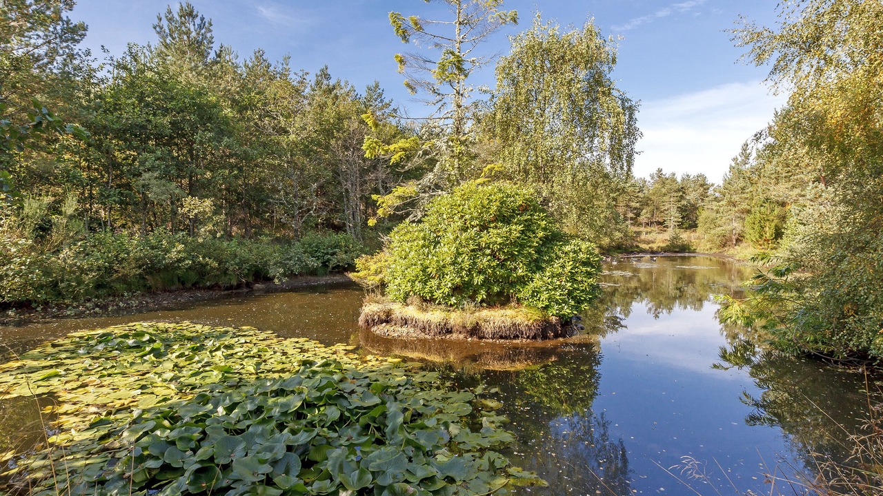 Photo of Others in Ardgay