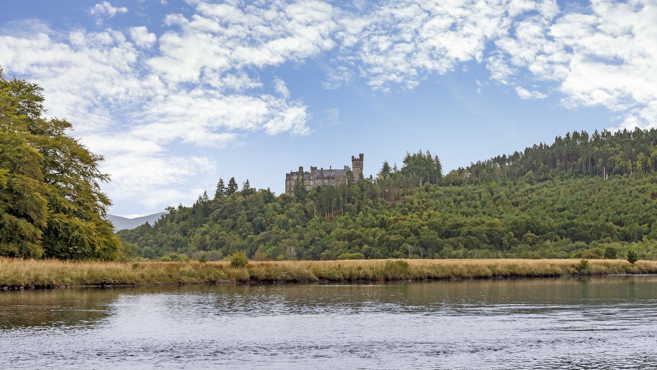 Photo of Others in Ardgay