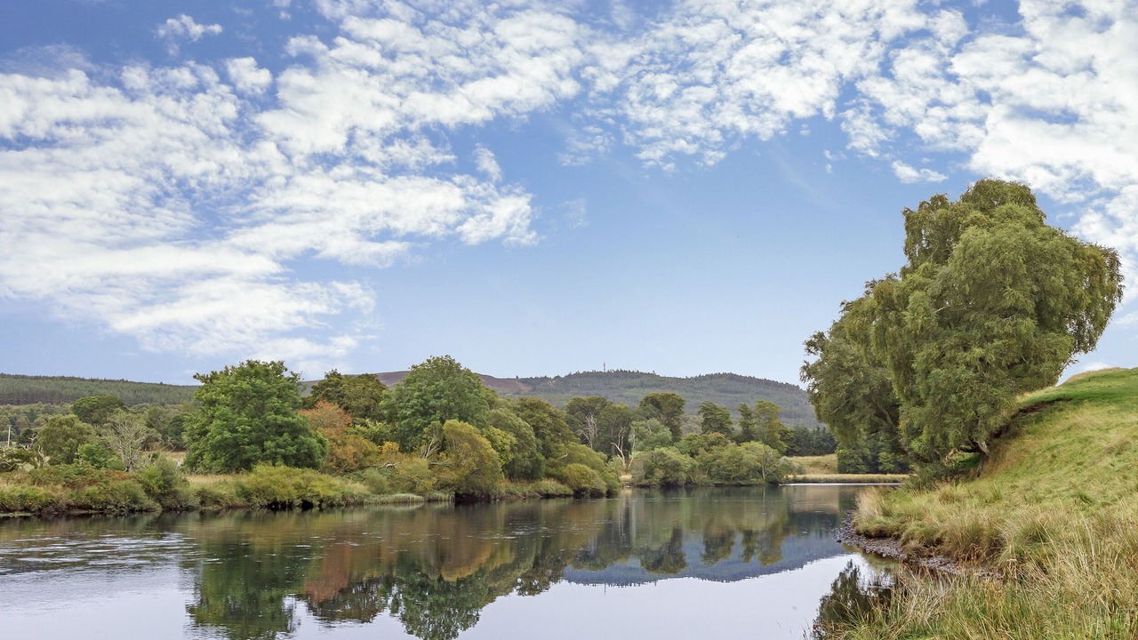 Photo of Others in Ardgay