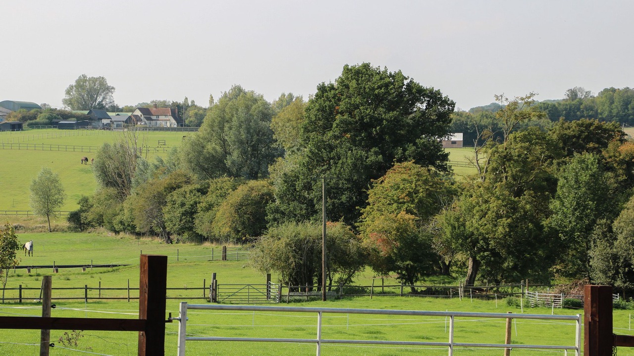 Photo of Others in Howlett End