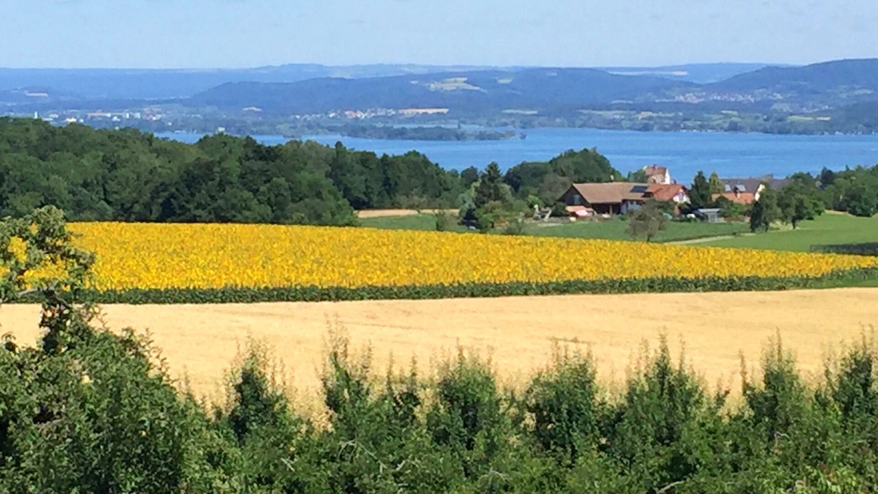 Photo of Others in Salenstein