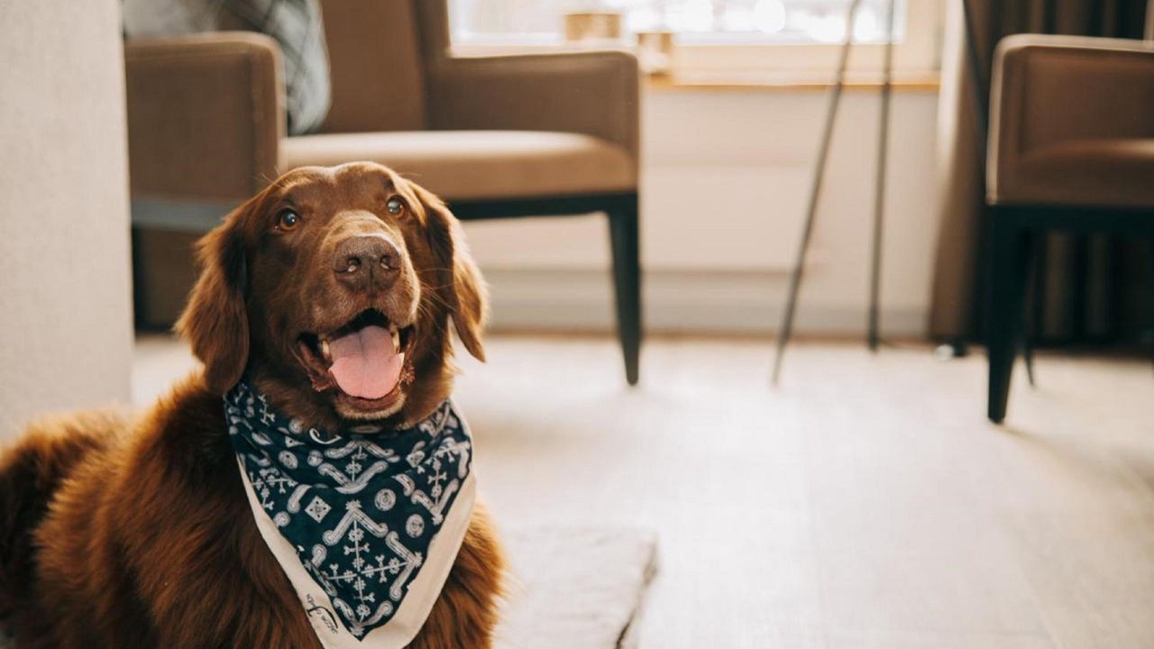 Photo of Others in Martisberg