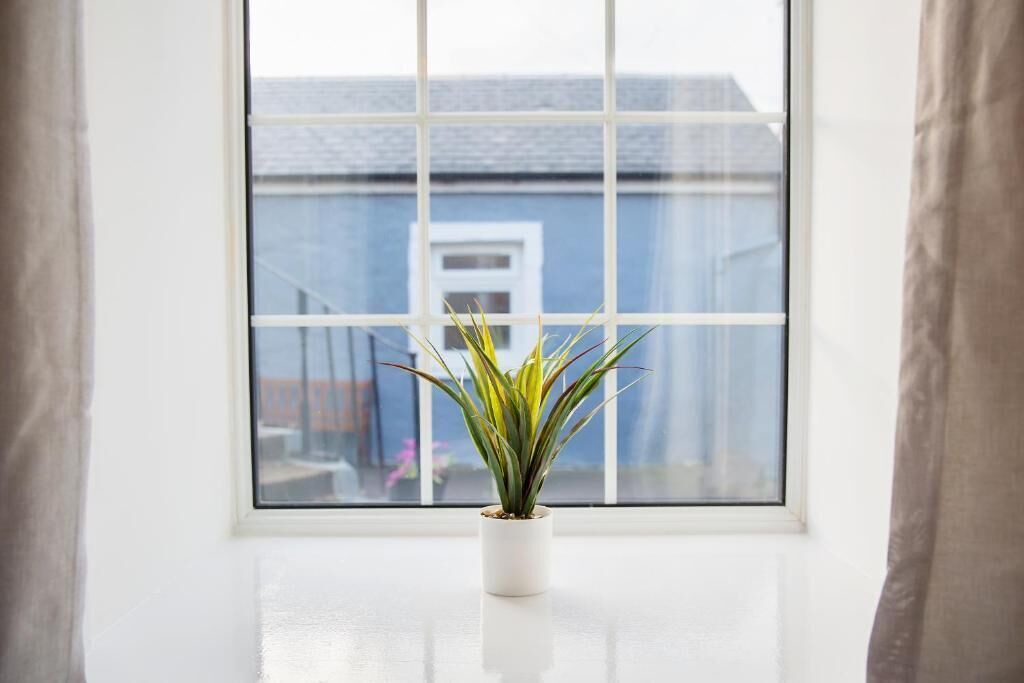 Photo of Others in Irvine