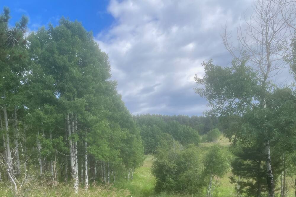 Photo of Outdoor in Nederland