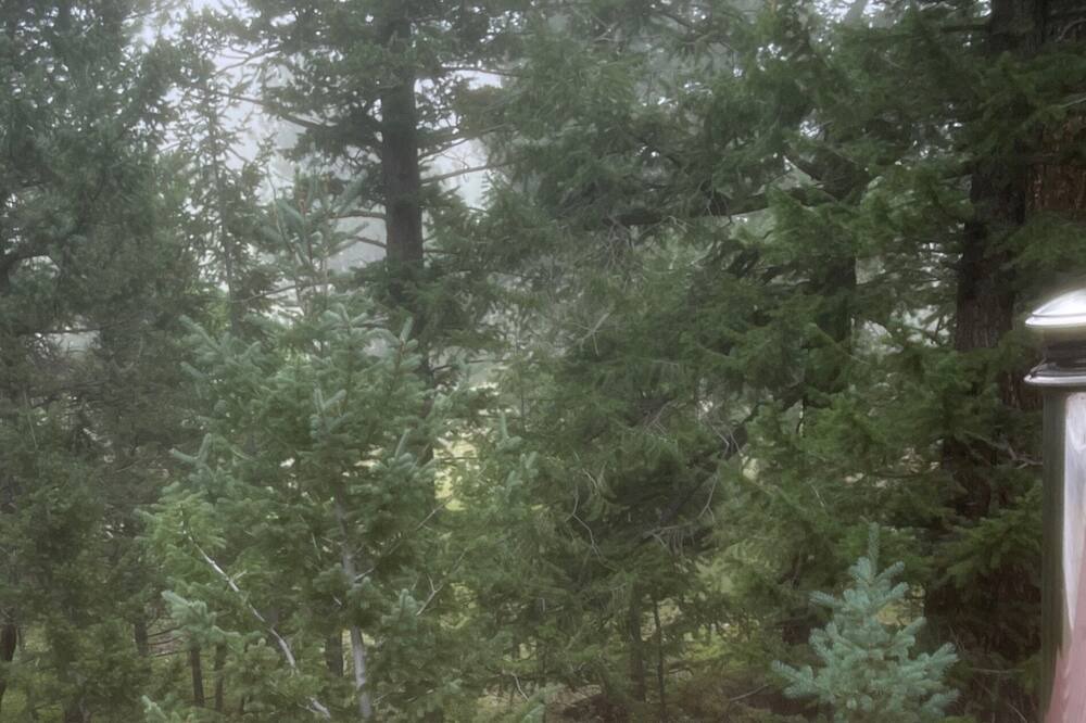 Photo of Outdoor in Nederland
