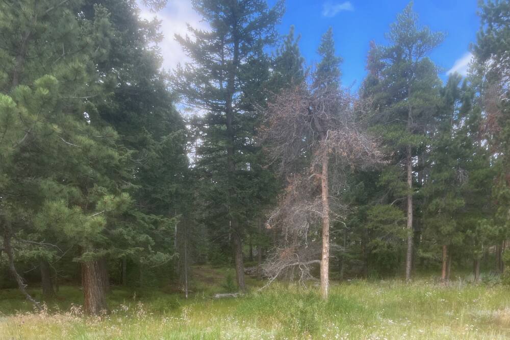 Photo of Outdoor in Nederland