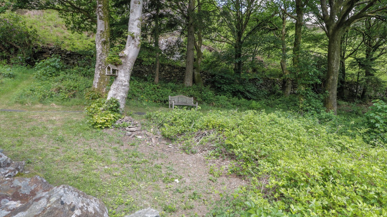 Photo of Outdoor in Beddgelert