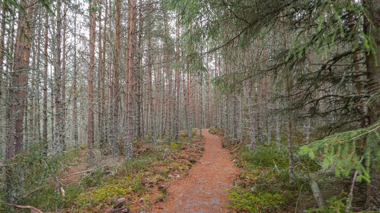 Photo of Others in Alvie