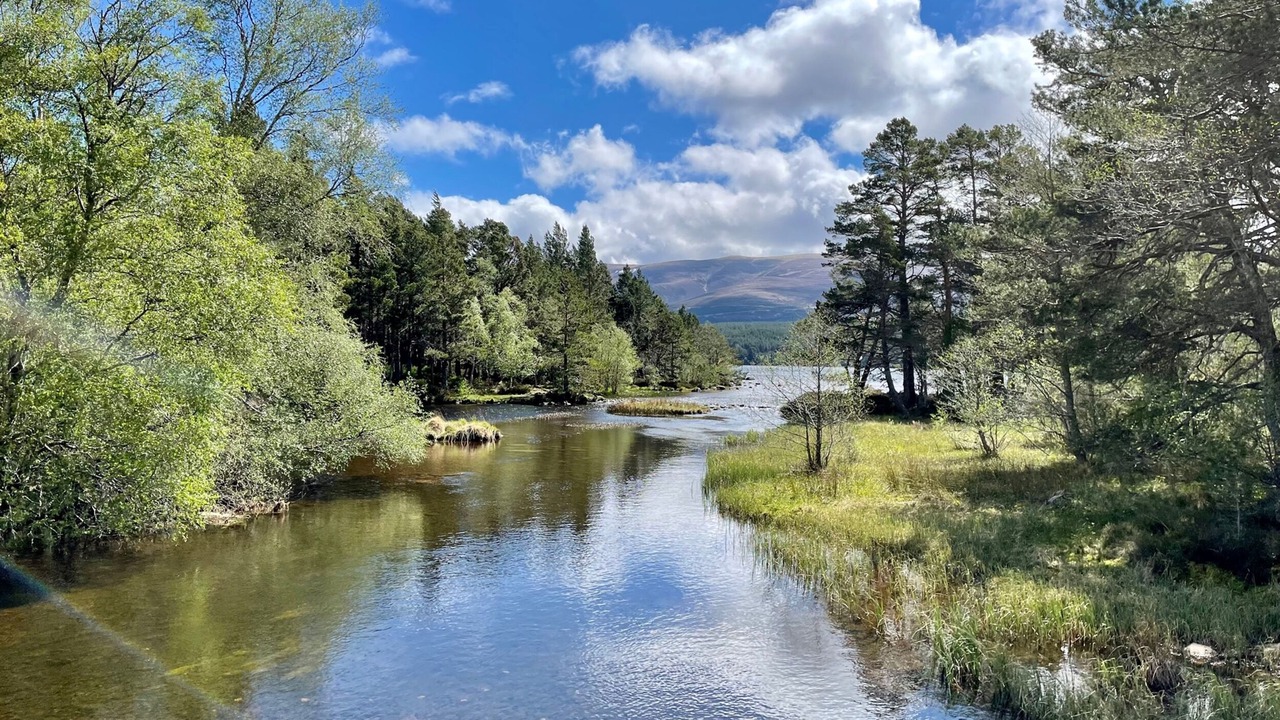 Photo of Others in Alvie