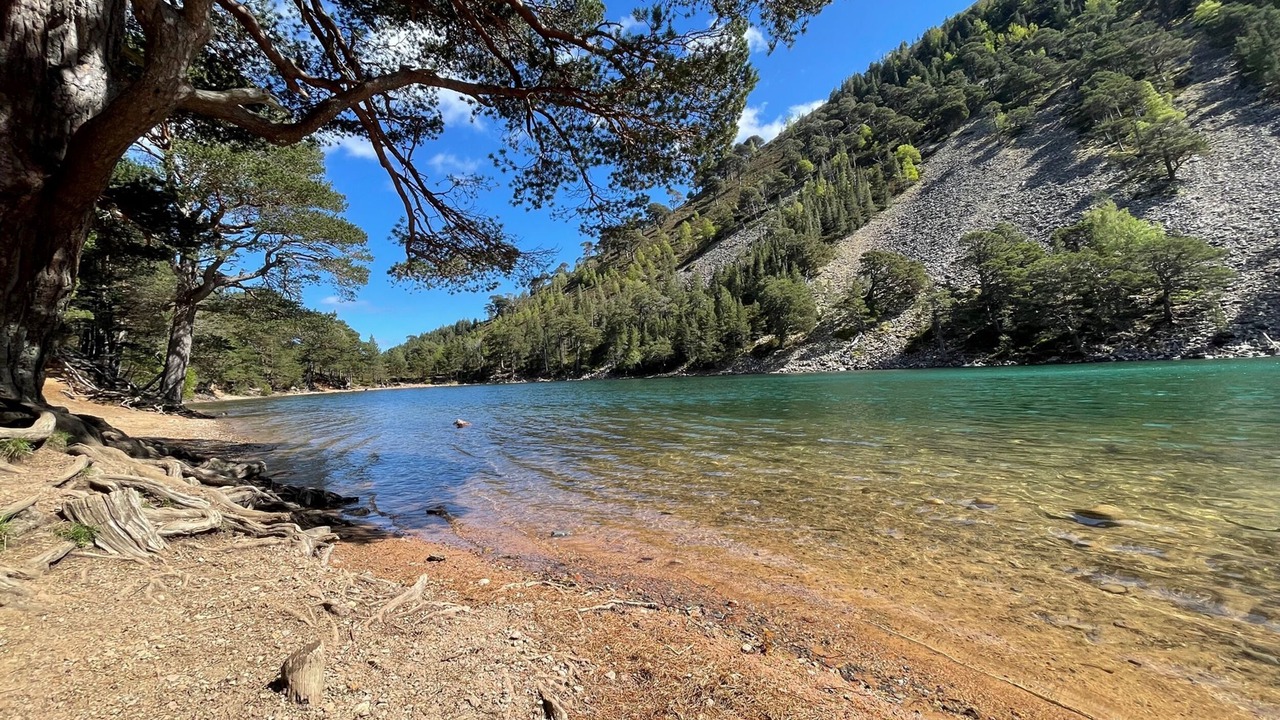 Photo of Others in Alvie