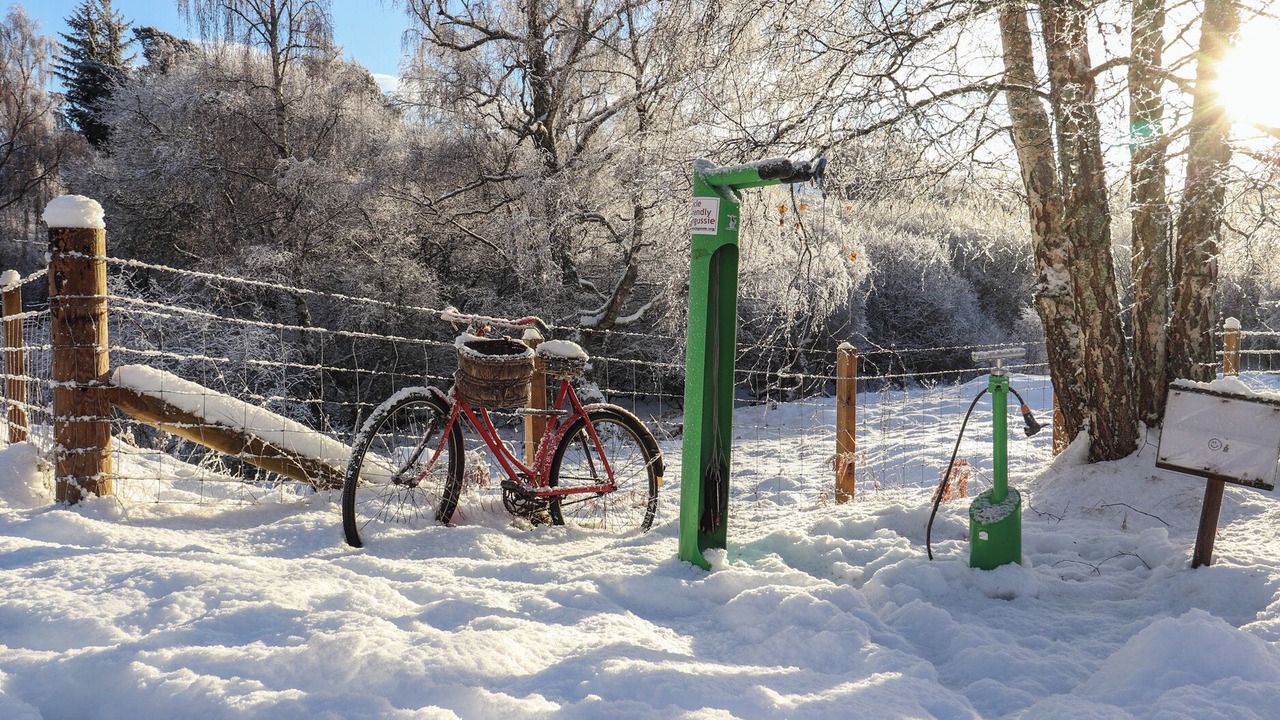 Photo of Others in Alvie