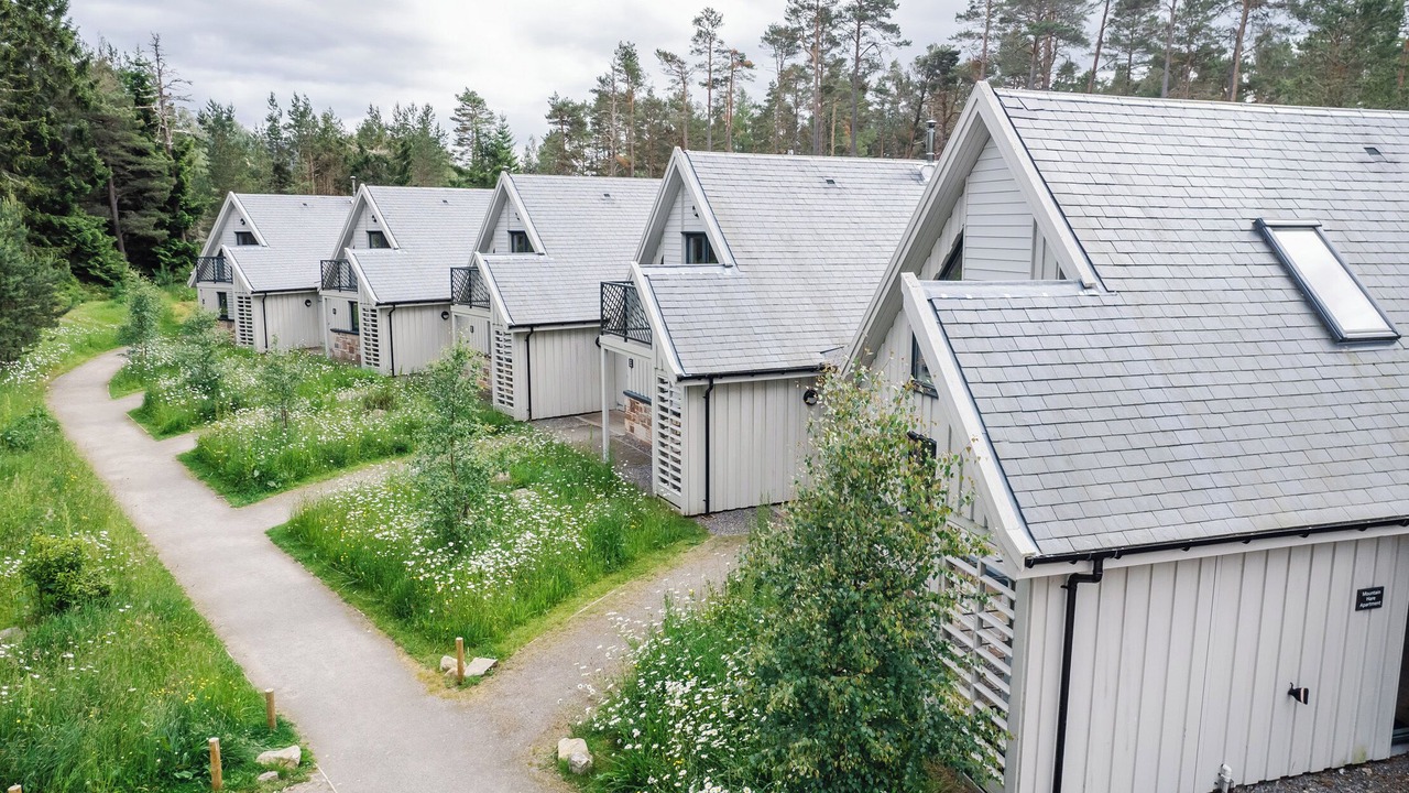 Photo of Others in Alvie