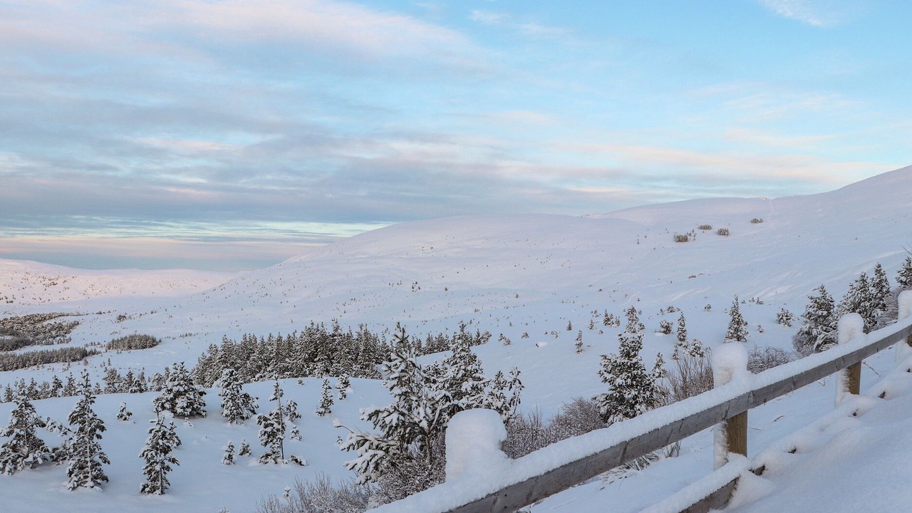 Photo of Others in Alvie