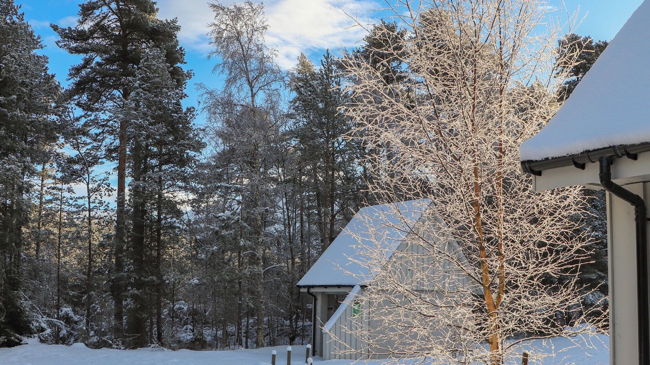 Photo of Outdoor in Alvie