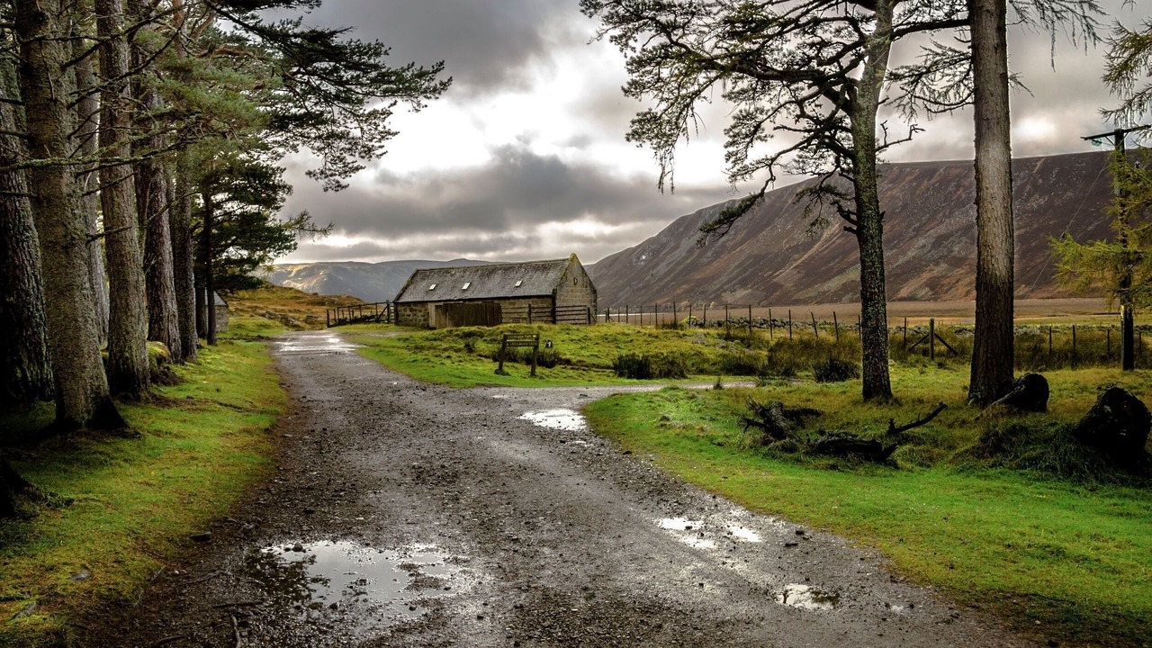 Photo of Others in Alvie