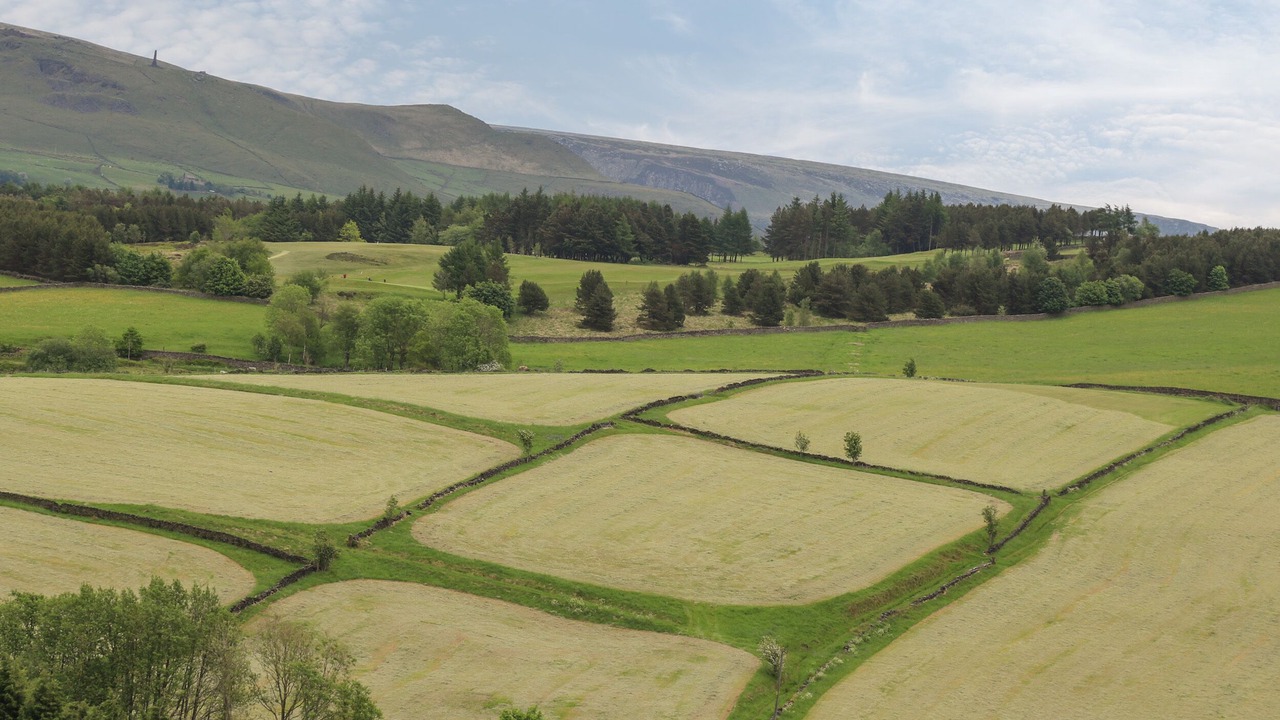 Photo of Others in Saddleworth