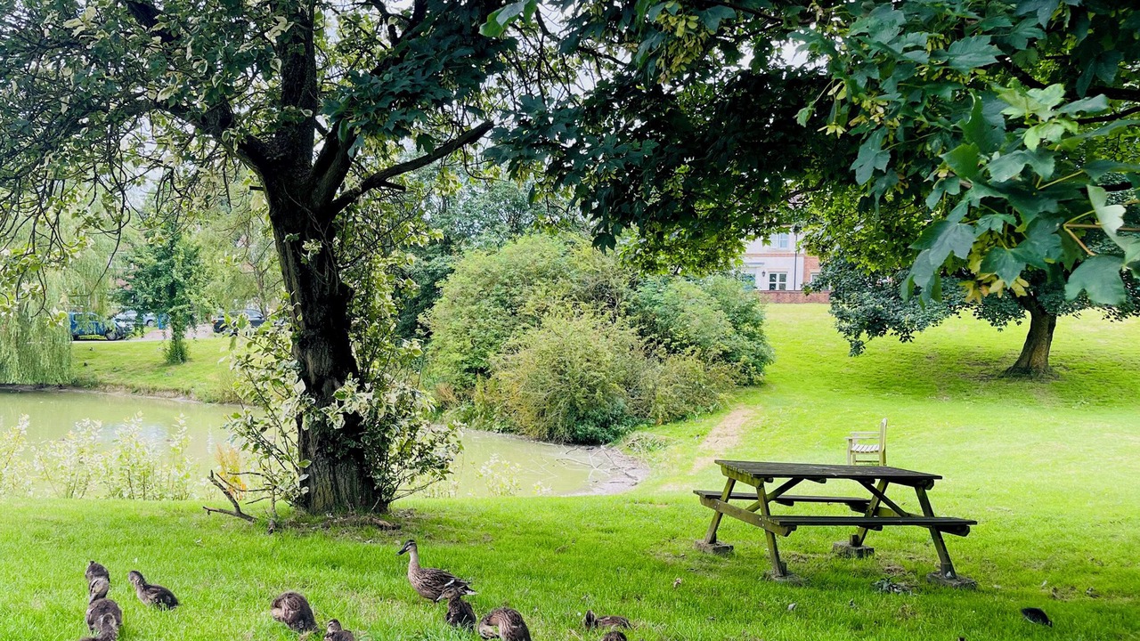 Photo of Others in Fridaythorpe