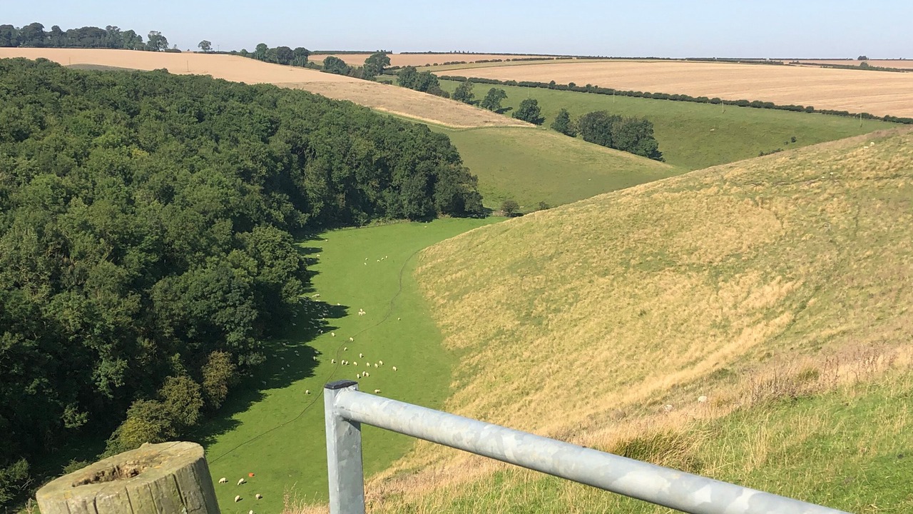 Photo of Others in Fridaythorpe