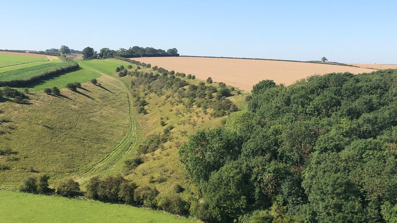 Photo of Others in Fridaythorpe